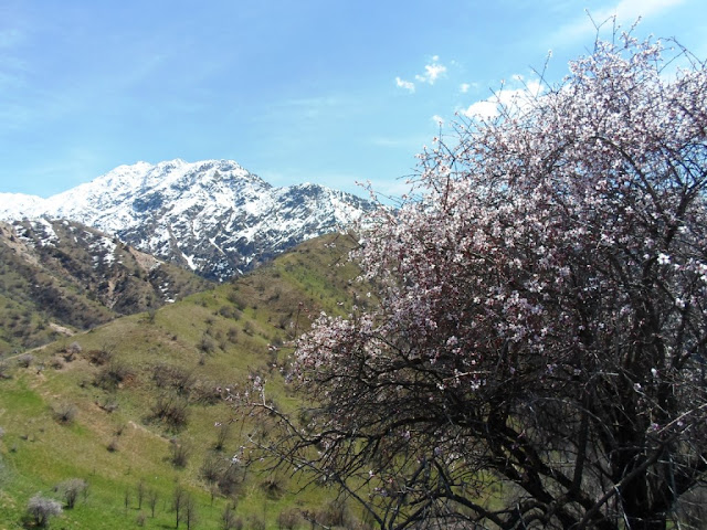Поход на верхнюю Чайку, ущелье Варзоб, горы Таджикистана