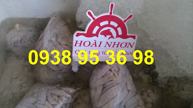 Sỉ lẻ sá sùng, trùn biển giá tốt 0938 95 36 98.  Mua bán sá sùng tươi ngon giá rẻ tại Sài Gòn, trùn biển tươi giá tốt, giá bán sá sùng rẻ nhất tại hải sản Hoài Nhơn, mua sá sùng tươi ngon giá rẻ tại đây, trùn biển tươi sạch cát giá rẻ, cung cấp sỉ lẻ sá sùng tươi làm sạch, sá sùng tươi rẻ, trùn biển ngon làm sạch.  Các món ngon từ sá sùng, trùn biển: cháo sá sùng - trùn biển, sá sùng - trùn biển nướng, trùn biển - sá sùng nấu lẩu, sá sùng - trùn biển xào các món, canh sá sùng - trùn biển, súp trùn biển - sá sùng,...  Hoài Nhơn 0938 95 36 98