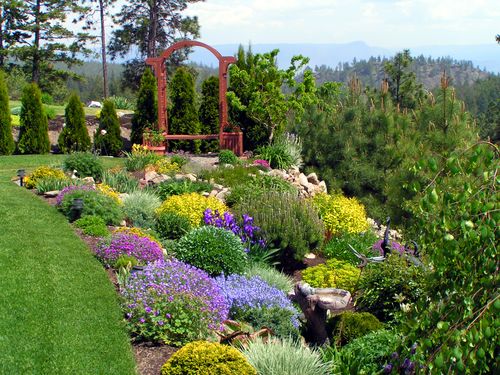 yard landscaping ideas