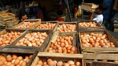 Disdagperin Kota Bekasi Jelaskan Penyebab Harga Telur Ayam Naik