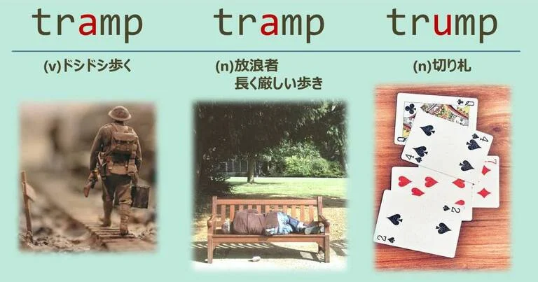 tramp, trump, スペルが似ている英単語