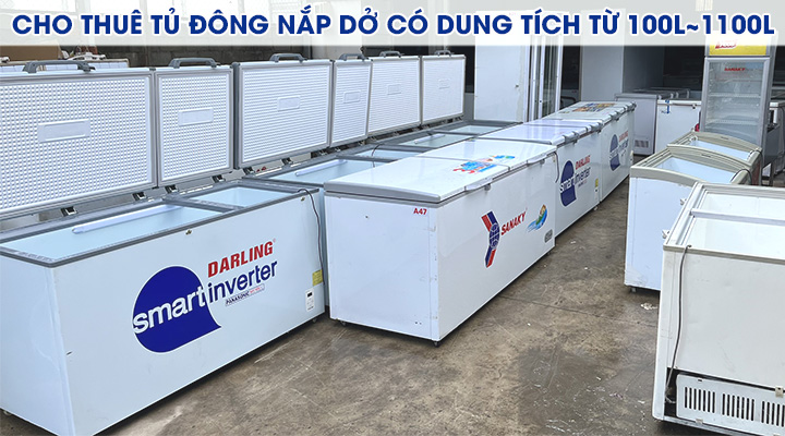 HCM - Gợi ý dịch vụ cho thuê tủ đông tủ mát trữ hàng mùa tết với giá tốt Cho-thue-tu-dong-nap-do