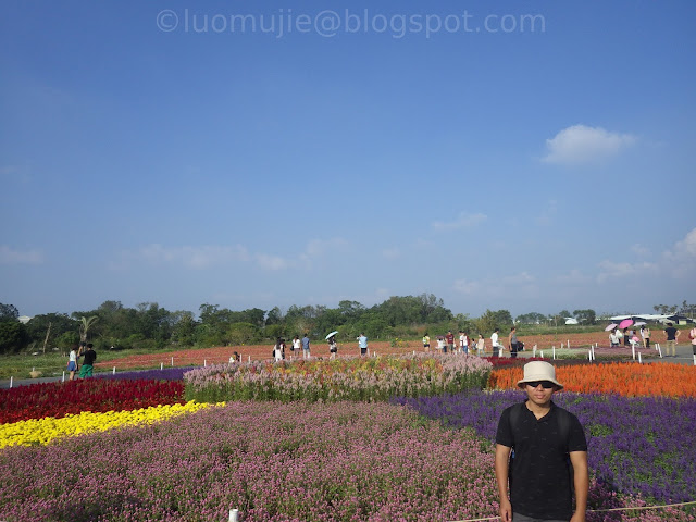 Xinshe Sea of Flowers