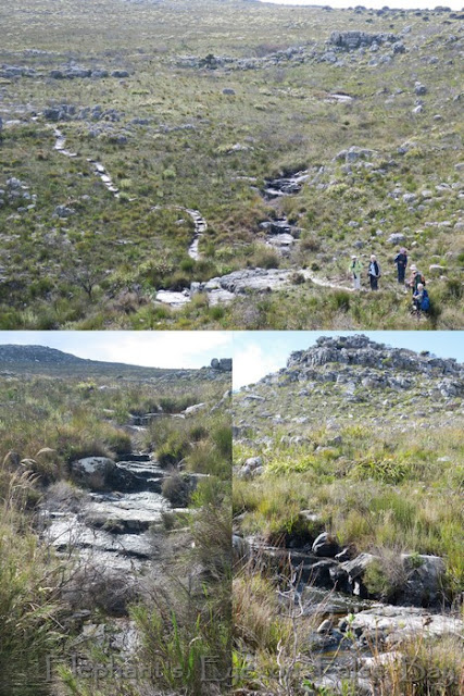 Waterfall at Silvermine