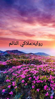 رواية ملاكي النائم