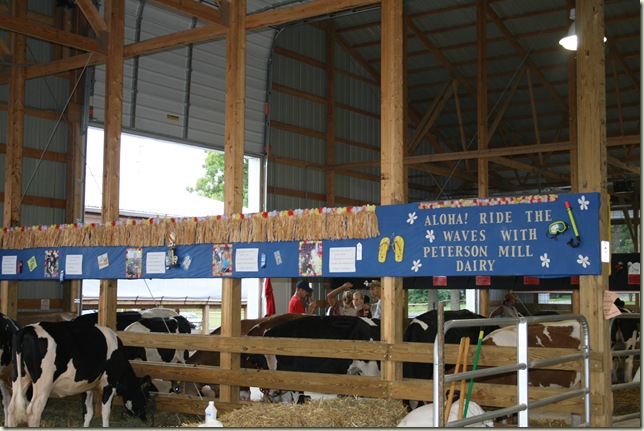 08 CtyFair_Dairy Display