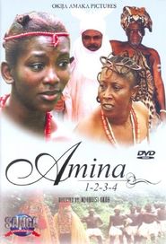 Amina 2008 Film Complet en Francais