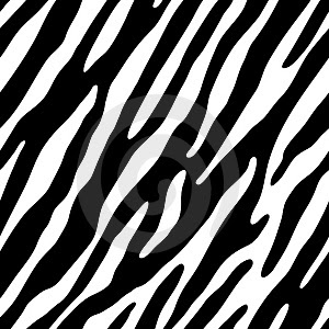 Wallpaper Borders on Zebra Wallpaper   The Animal Life