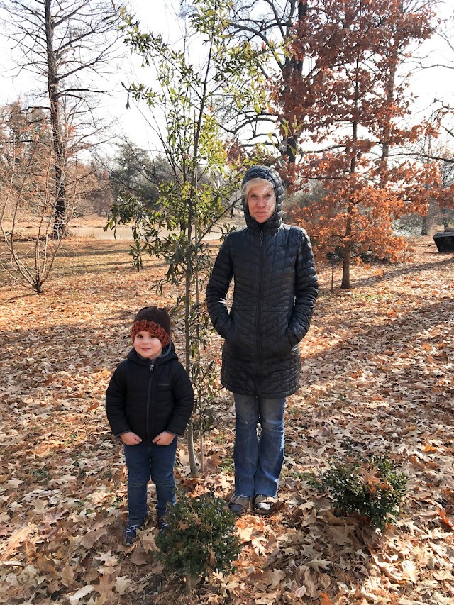 12.30.18 Lil' C's tree