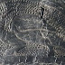 Една интересна находка от Йоркшър: кожен фрагмент с изображение на дракон