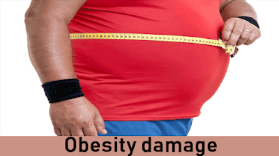 Obesity damage
