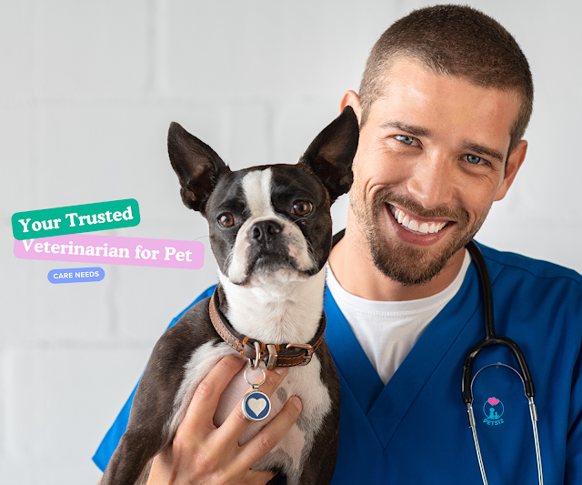 Your Trusted Veterinarian for Pet Care Needs