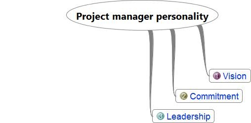 Project manager personality