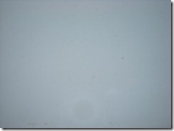 DSCN3831