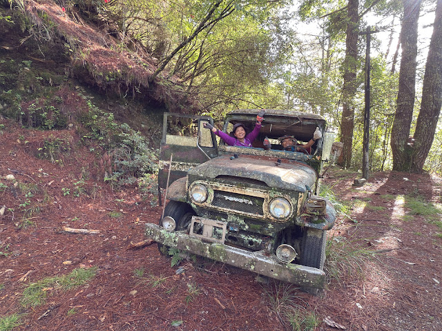 龍貓公車 龍貓公車