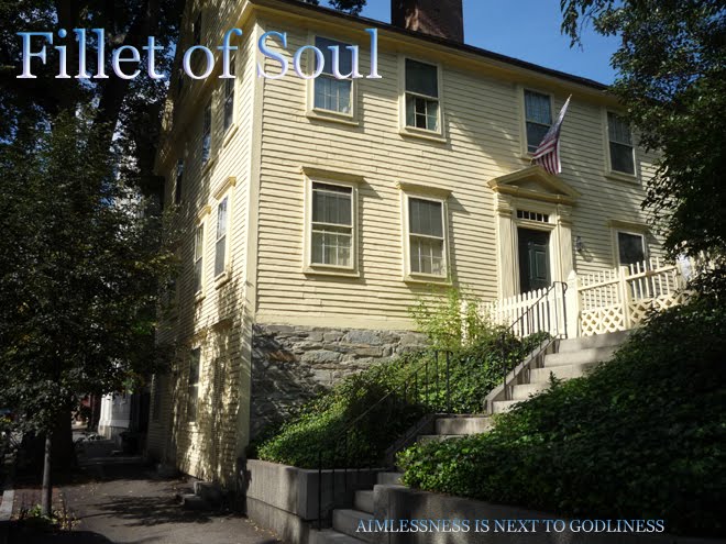 Fillet of Soul