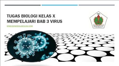 Tugas Biologi Kelas X Mempelajari Bab 3 VIrus