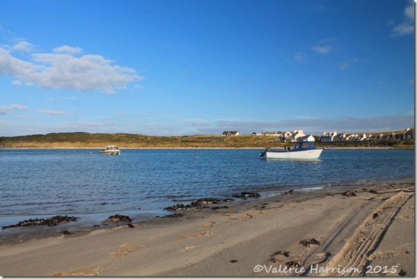 29-Port-Logan