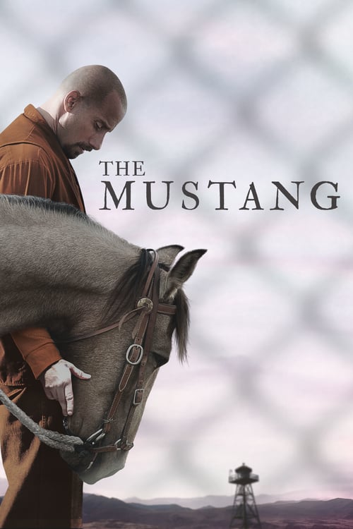 Descargar The Mustang 2019 Blu Ray Latino Online