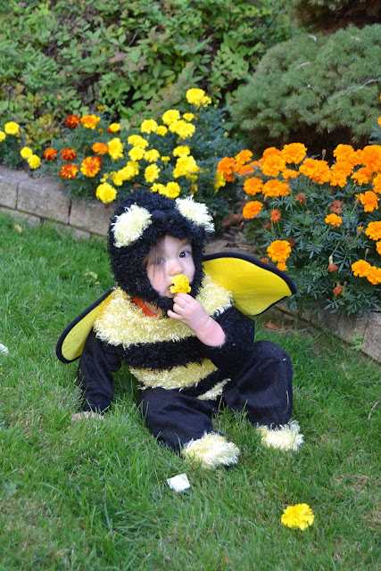 Toddler Bee Costume