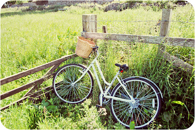 Basket and bicycle