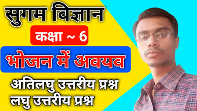 कक्षा 6वीं सुगम विज्ञान भोजन में अवयव  Class 6th Sugam Science Ingredients in food  Bharati Bhawan Sugam Vigyan  Chapter 2 Bhojan me Avayav  BharatiBhawan.org