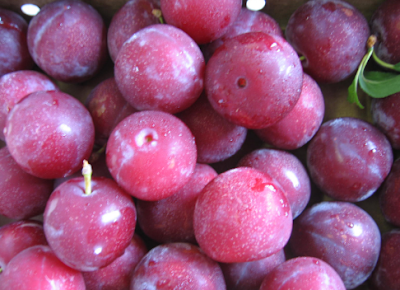 Aloo Bukhara (Plums) Benefits