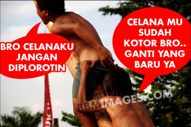 meme 17 agustus lucu panjat pinang celana melorot