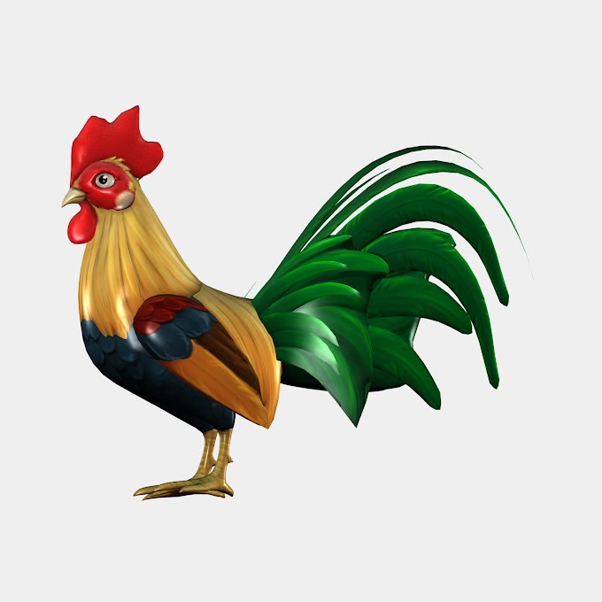 Rooster