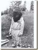 Beekeeper using his head