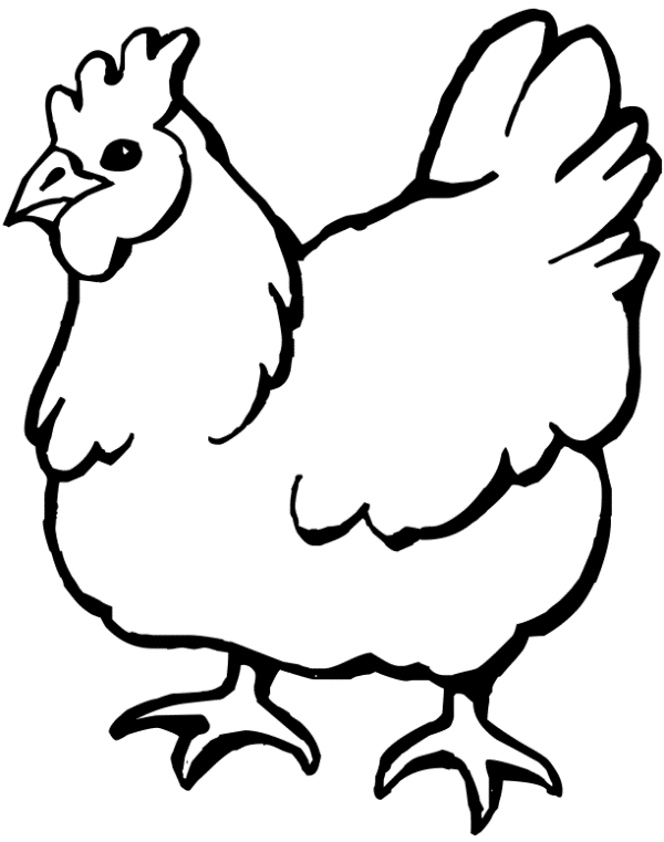 Mewarnai Ayam Betina Kumpulan Contoh Soal 1