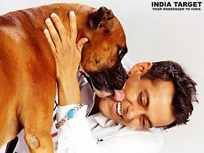 salman khan wallpapers