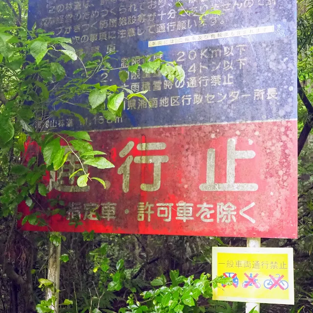 阿夫利林道