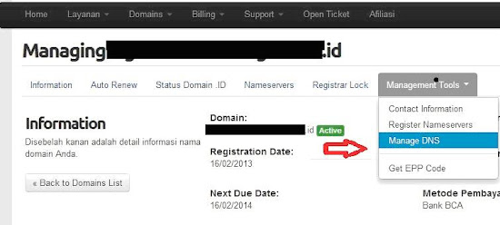 klik link manage DNS pada management tools