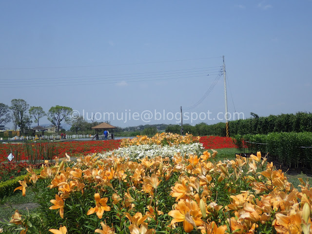 Zhongshe flower market taichung