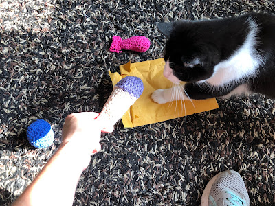 black and white cat with crocheted cat toys