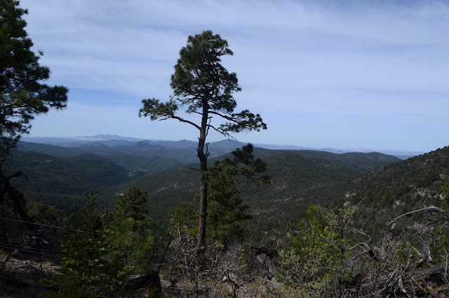 rolling, tree covered, hills to the southwest