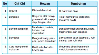 Materi IPA Kelas 3 Bab 1 Persamaan dan  Perbedaan  