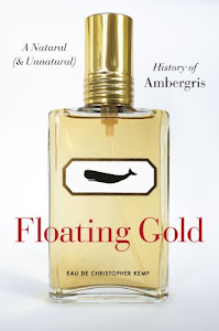 Floating Gold – A Natural (and Unnatural) History of Ambergris