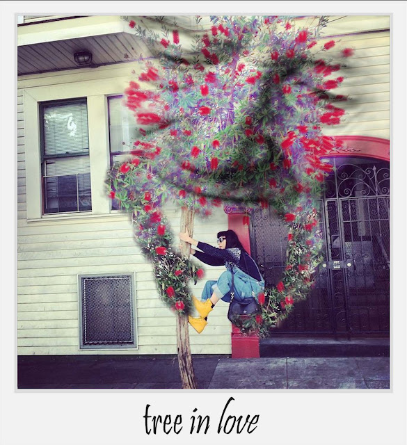 tree in love