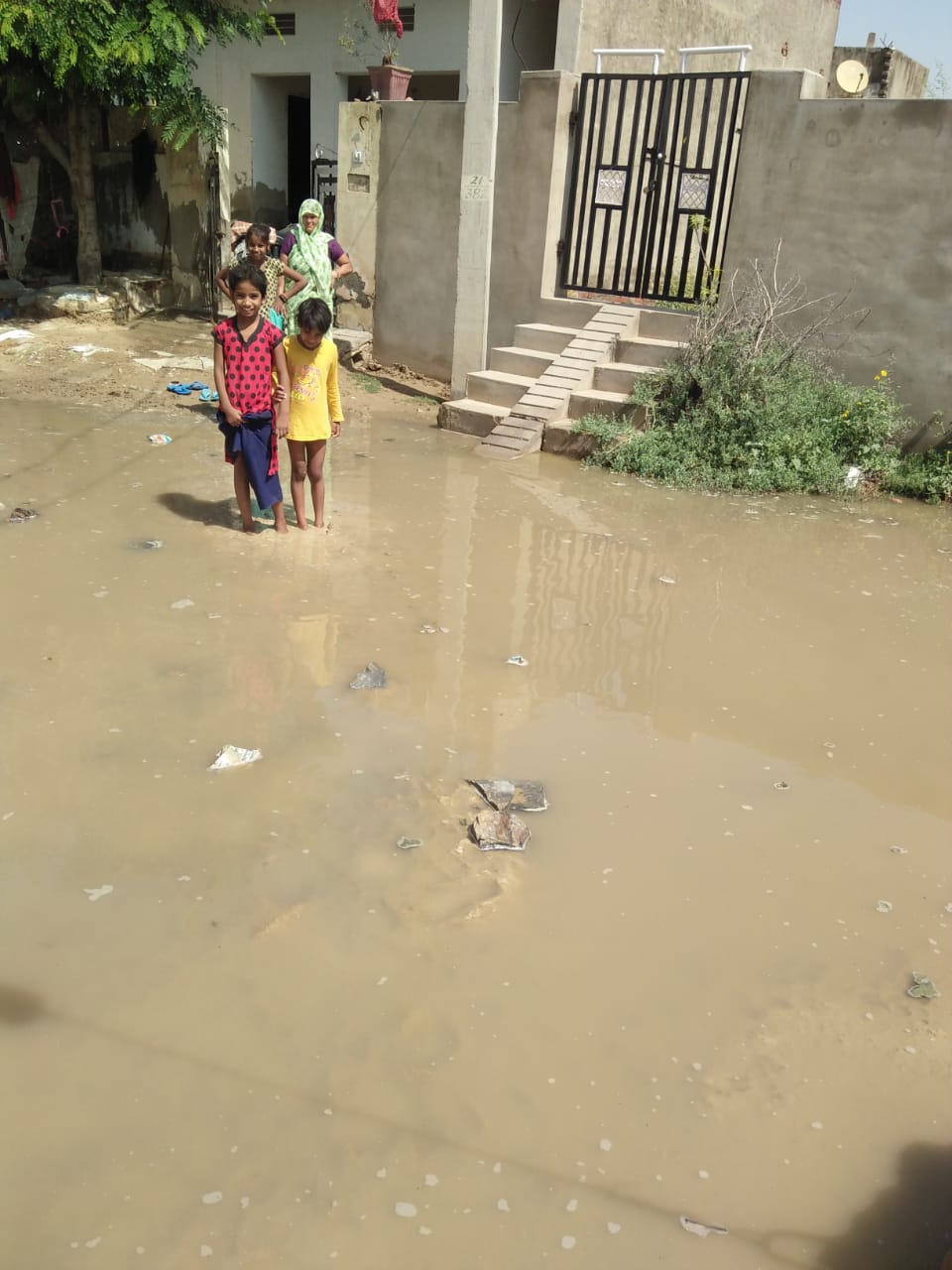 चित्र