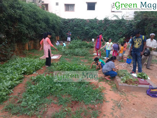 Success Story of community gardening in Bengaluru's apartment