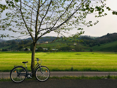 Bicicleta apoyada en un árbol en la vía verde del pas, en un paisaje de prados verdes y montes alrededor