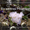 Gif Pfingstmontag : Kostenlose Pfingsten Bilder Gifs Grafiken Cliparts Anigifs Images Animationen : Dieser wird automatisch markiert und du kannst ihn direkt kopieren und ins gästebuch oder auf der gewünschten seite einfügen.