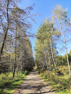 Beskid Masala- Nocleg z orientalnym klimatem w Beskidzie Niskim