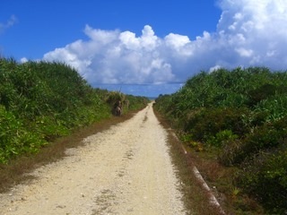 CIMG6230