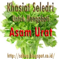 obat herbal untuk mengobati asam urat