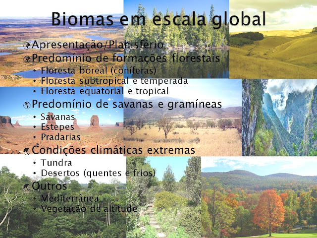 slides portal geographia