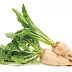 Fun Facts About Sugar-beets