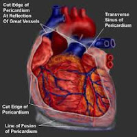 Treatment Pericarditis